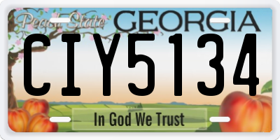 GA license plate CIY5134