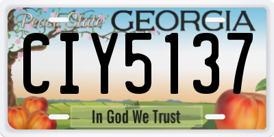 GA license plate CIY5137