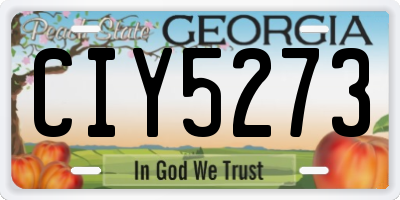 GA license plate CIY5273