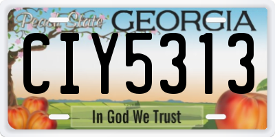 GA license plate CIY5313