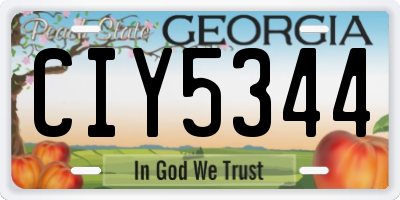 GA license plate CIY5344