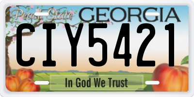 GA license plate CIY5421