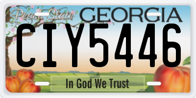 GA license plate CIY5446