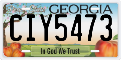 GA license plate CIY5473