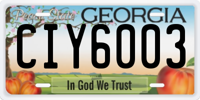 GA license plate CIY6003