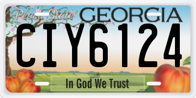 GA license plate CIY6124