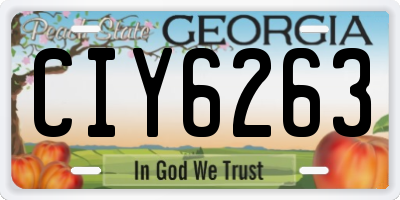 GA license plate CIY6263