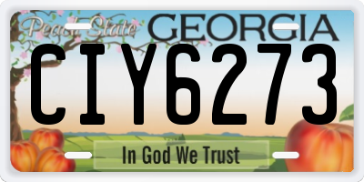 GA license plate CIY6273