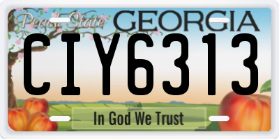 GA license plate CIY6313