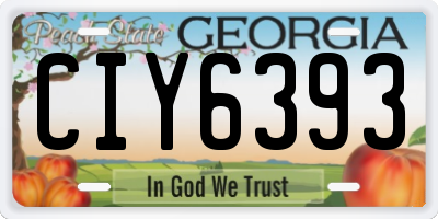 GA license plate CIY6393