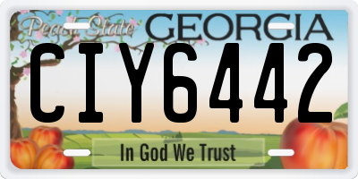 GA license plate CIY6442