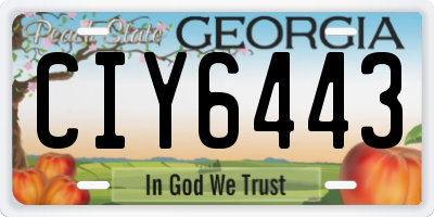 GA license plate CIY6443
