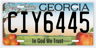 GA license plate CIY6445