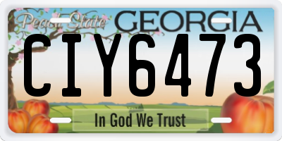 GA license plate CIY6473