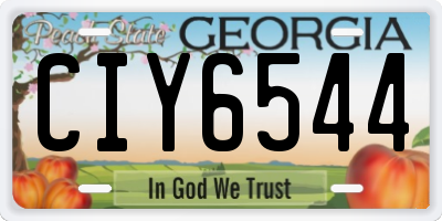 GA license plate CIY6544