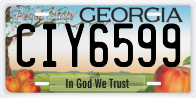 GA license plate CIY6599