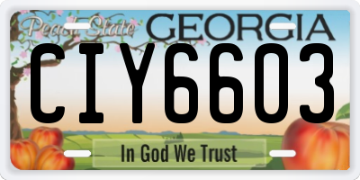 GA license plate CIY6603