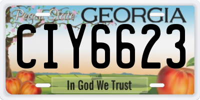 GA license plate CIY6623