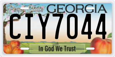 GA license plate CIY7044
