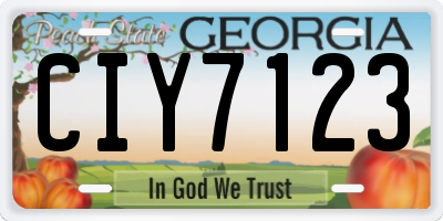 GA license plate CIY7123