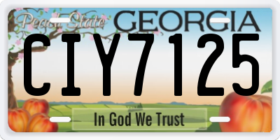 GA license plate CIY7125
