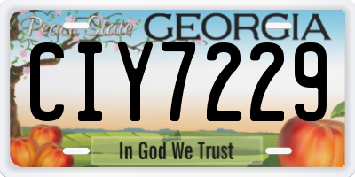 GA license plate CIY7229