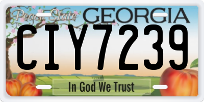 GA license plate CIY7239