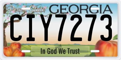 GA license plate CIY7273