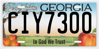 GA license plate CIY7300