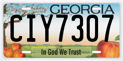 GA license plate CIY7307
