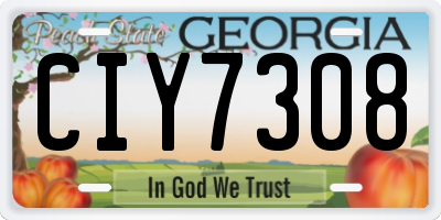 GA license plate CIY7308