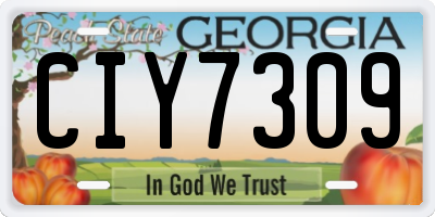 GA license plate CIY7309