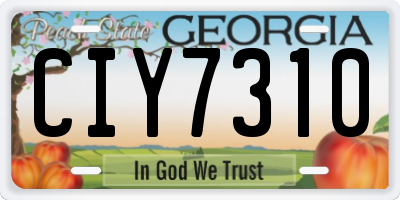 GA license plate CIY7310