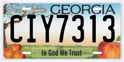GA license plate CIY7313