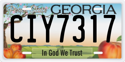 GA license plate CIY7317