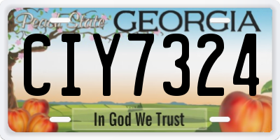 GA license plate CIY7324