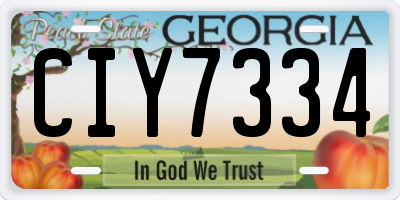 GA license plate CIY7334