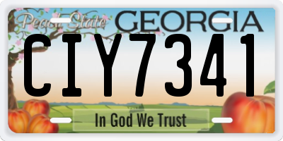 GA license plate CIY7341