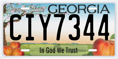 GA license plate CIY7344