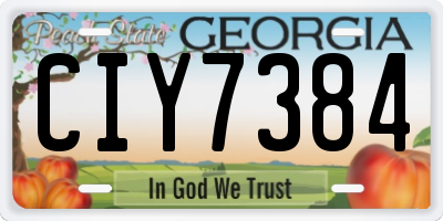 GA license plate CIY7384