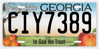 GA license plate CIY7389