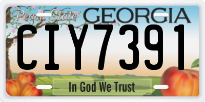 GA license plate CIY7391