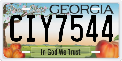 GA license plate CIY7544