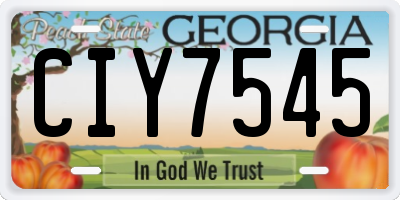 GA license plate CIY7545