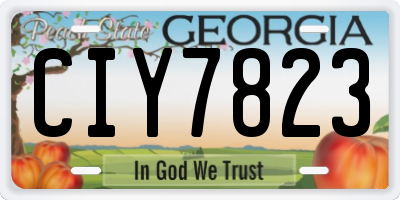 GA license plate CIY7823