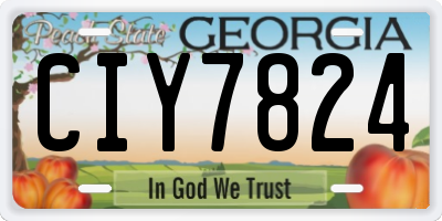 GA license plate CIY7824