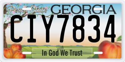GA license plate CIY7834