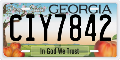 GA license plate CIY7842