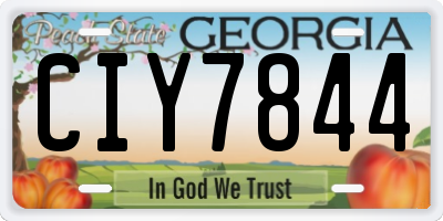 GA license plate CIY7844
