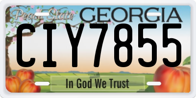 GA license plate CIY7855
